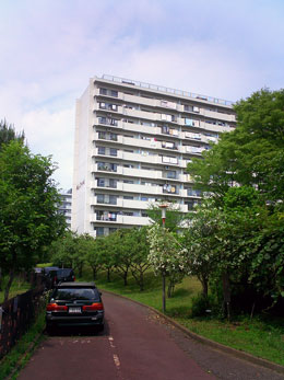 北東を見上げて撮影