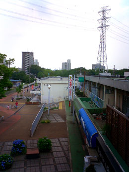 南西を向いて撮影