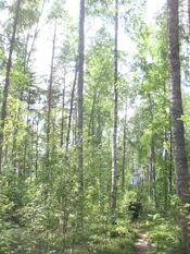 _0500908-finland01.gif